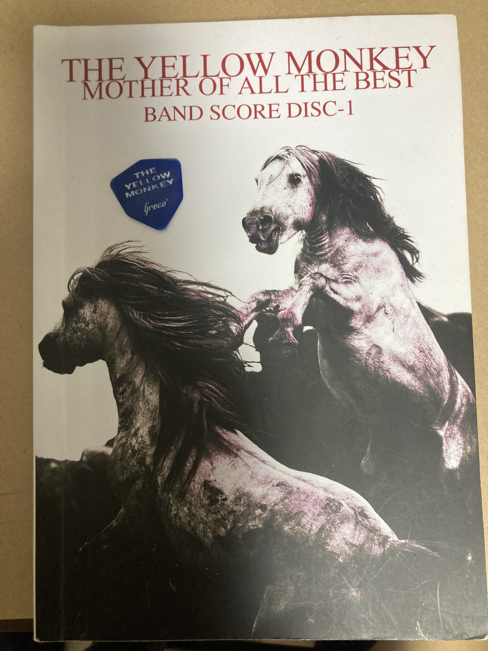 イエモンのバンスコとピック